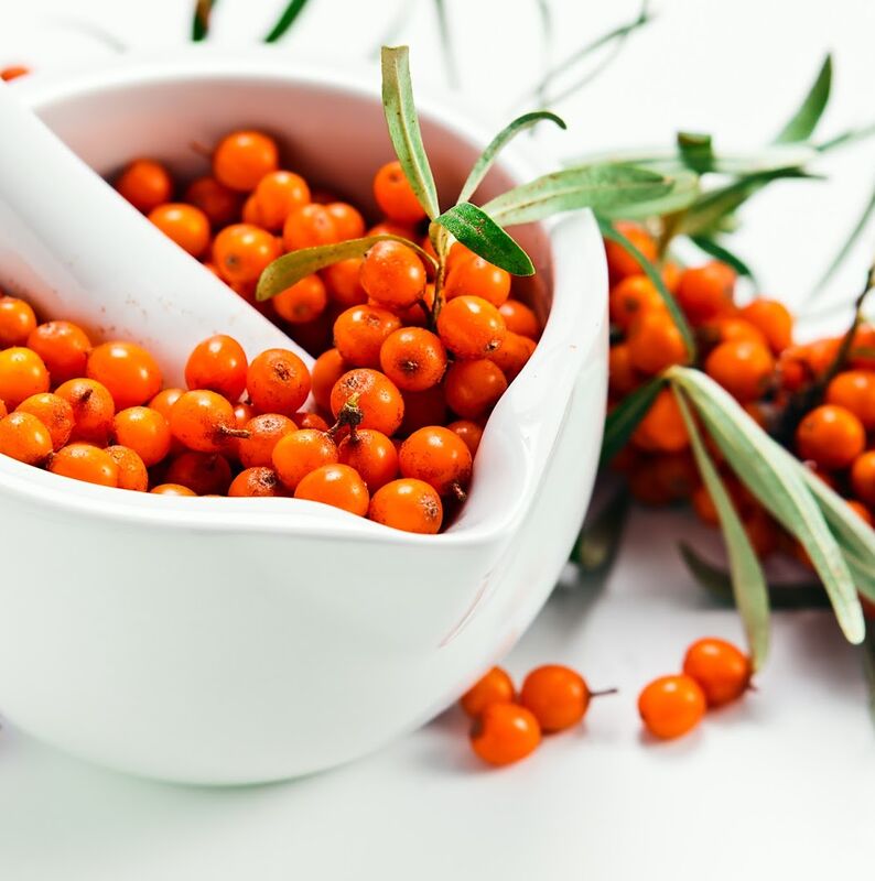 sea-buckthorn_berry_021